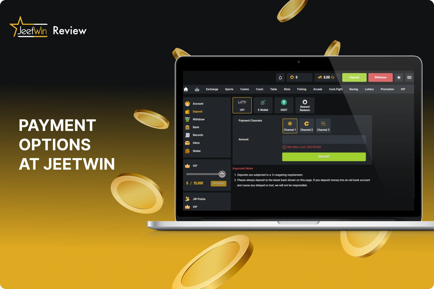 Various payment options are available to Jeetwin users for both deposits and withdrawals